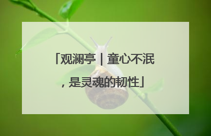 观澜亭｜童心不泯，是灵魂的韧性
